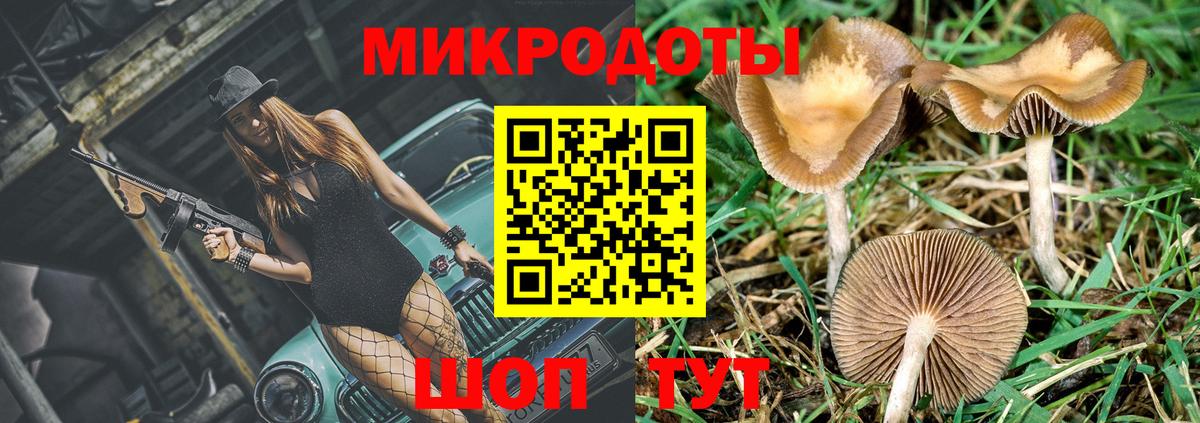 Рузаевка  Галлюциногенные грибы Psilocybine cubensis  Вход с VPN  Псилоцибиновые грибы GOLDEN TEACHER 
